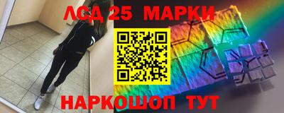 спиды Сланцы