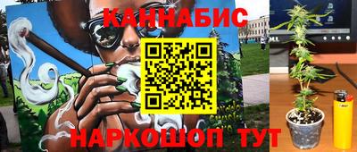 соль ск Славгород
